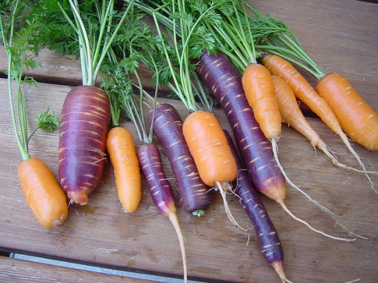 orange and purple carrots - from http://www.flickr.com/photos/satrina0/