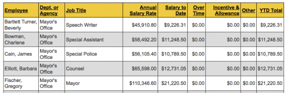 City Employees Salaries snippet