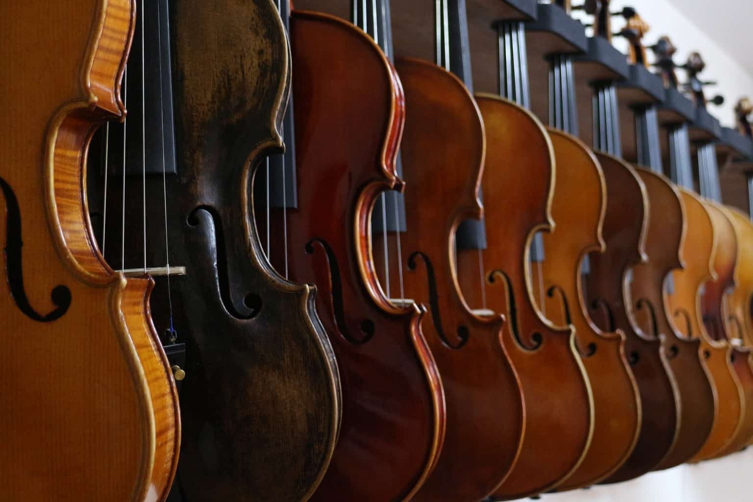 violin, music, fiddle