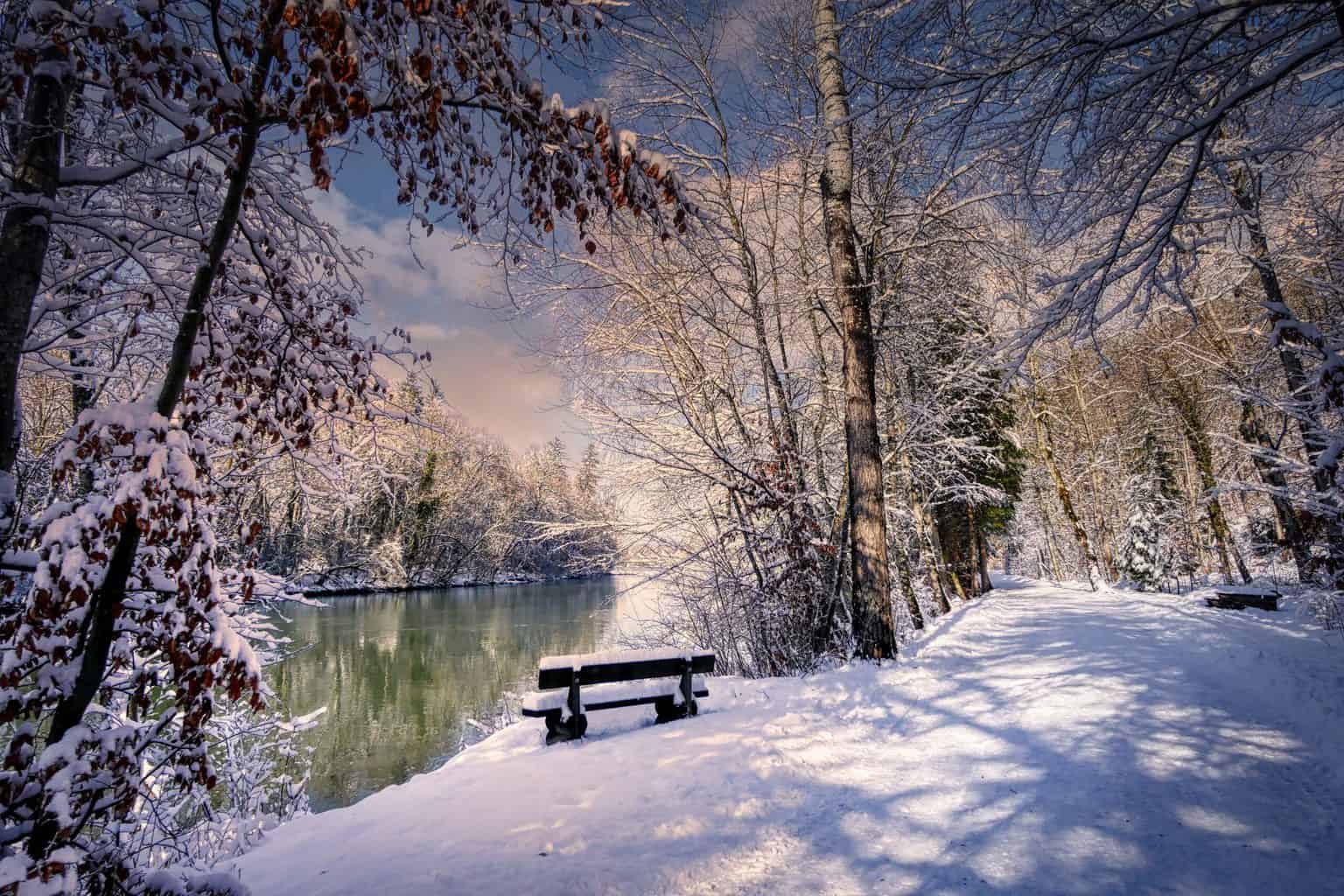 winter, bench, outlook