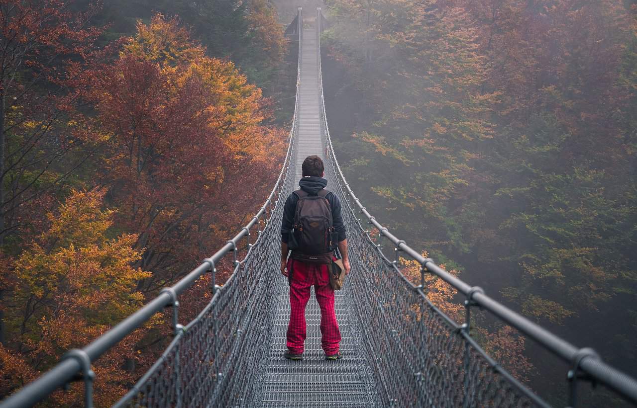 bridge, autumn, nature