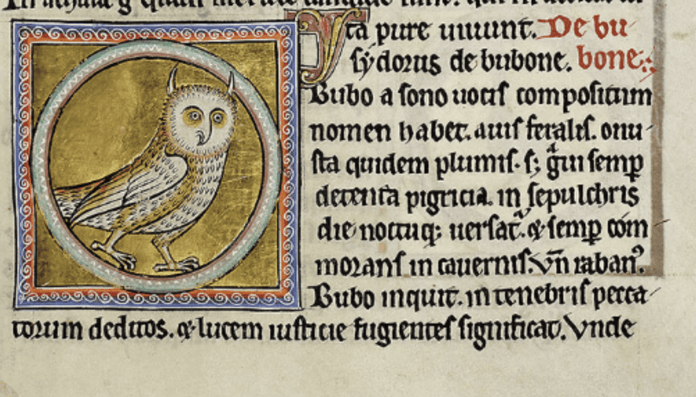 An old manuscript with an owl

Description automatically generated