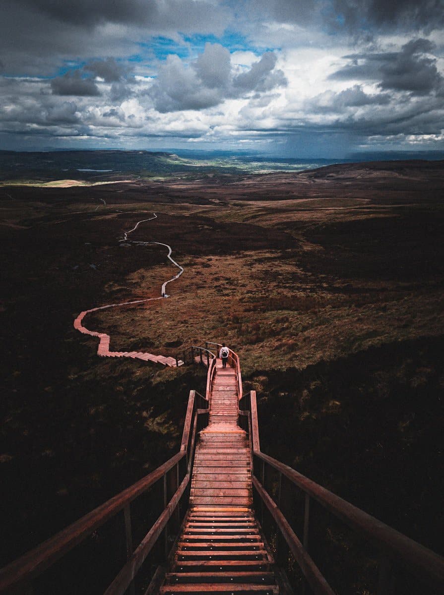 a wooden staircase leading to the top of a hill