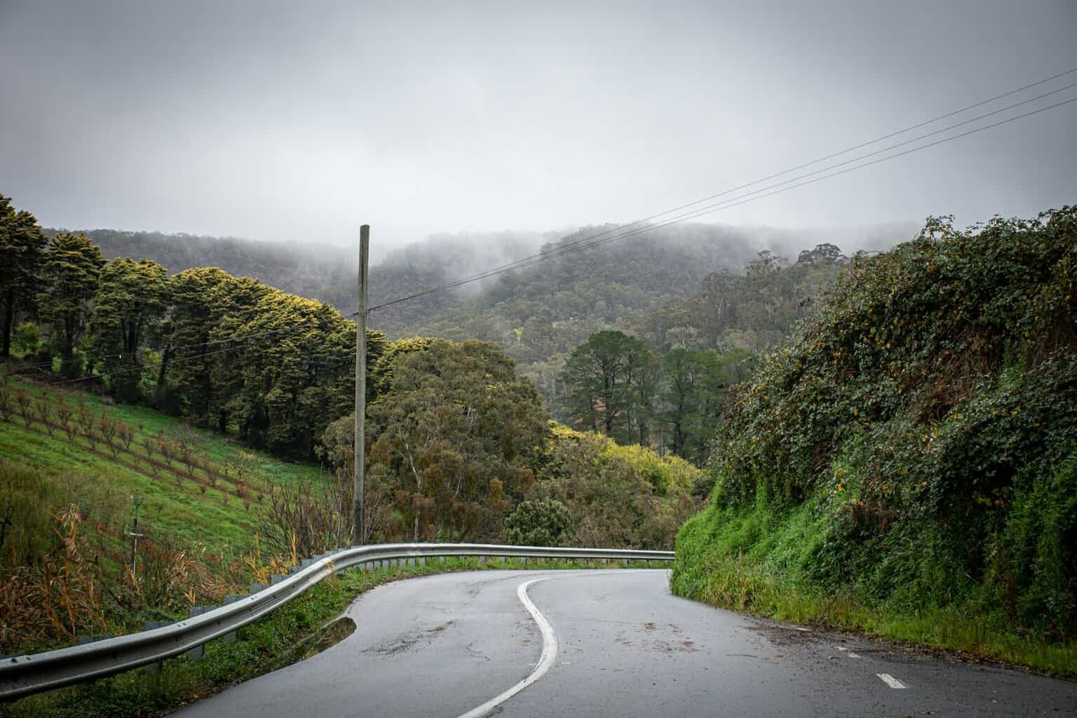 gray concrete road between green trees during daytime