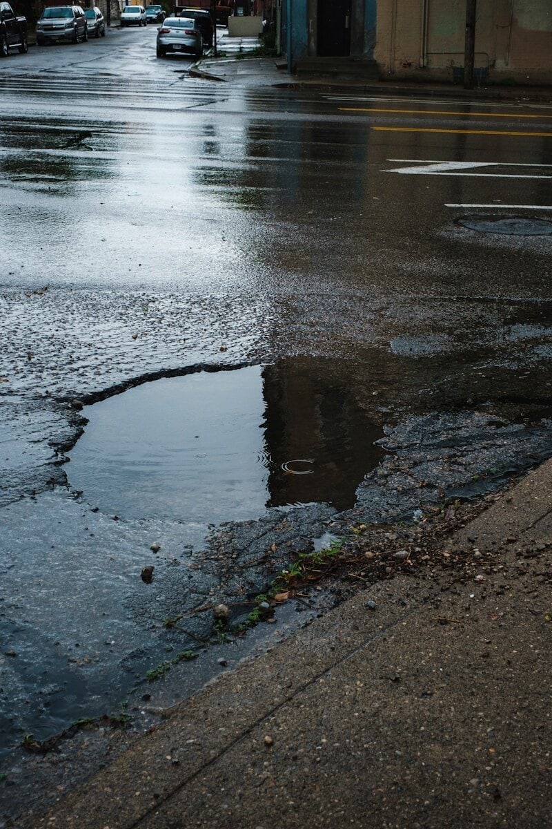 wet road close-up photography