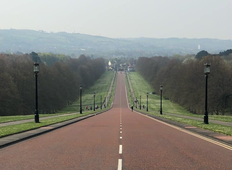 a road with trees on the side