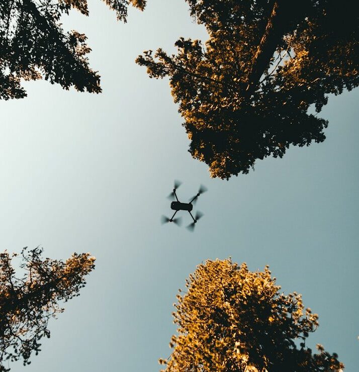 low angle photo of drone near trees