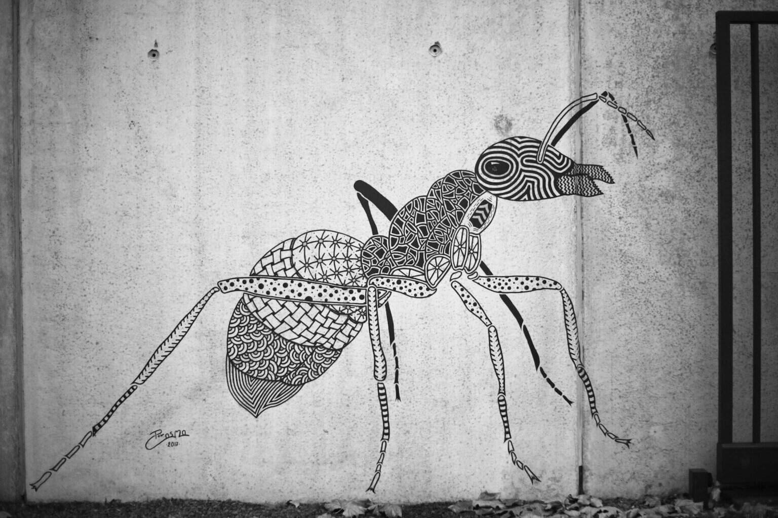 a black and white photo of a bug on a wall